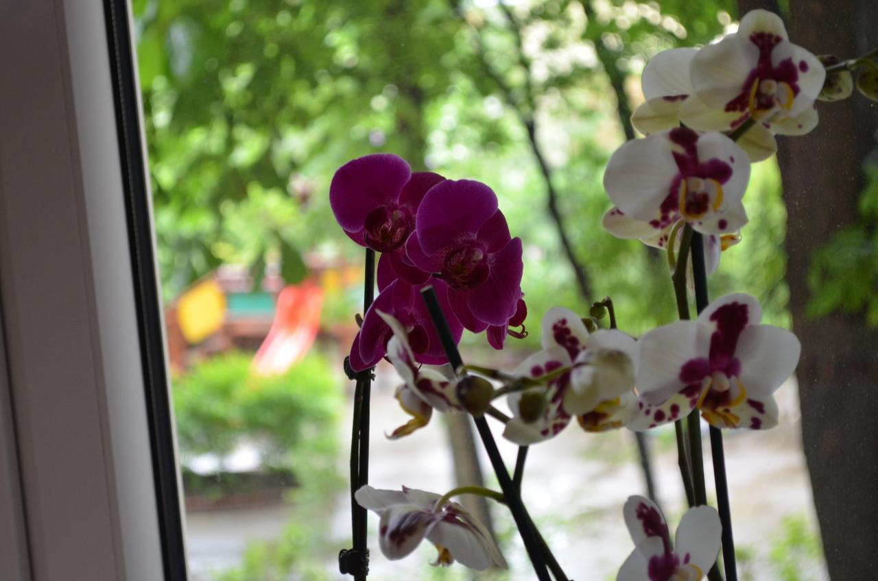 Apartament Orchidea Centrum Warschau Buitenkant foto